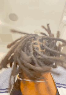Welcome to Our Loc Journey: Your Ultimate Resource for All Things Locs!
